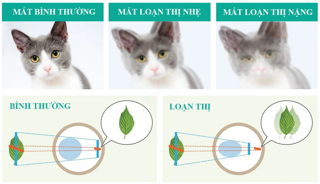 Loạn thị đây là một trong các bệnh mắt thường gặp ở trẻ em