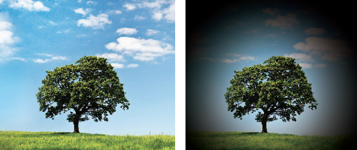 Hình ảnh qua mắt bị bệnh Glôcôm