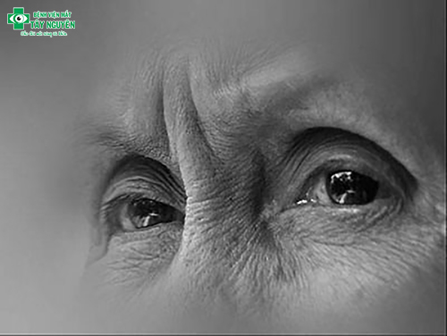 thơ hay đôi mắt mẹ